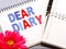 Dear diary word