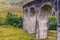 A dear near the Famous Glenfinnan Railway Viaduct in Scotland