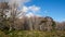 Death forest of Puyehue Volcano