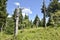 Death forest in Sumava national park in Czech republic