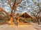 A death tree, Killing Field Choeng Ek, suburbs Phnom Penh, Cambodia.