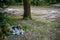 DEBNEVO, BULGARIA - JULY 26, 2018: Pile of plastic and metallic garbage, mostly beer cans and water bottles being left to pollute