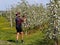 Debowiec, Poland - april 26, 2018: A cyclist takes a picture in a blooming apple orchard. Blooming apple plantation. A young orcha