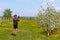 Debowiec, Poland - april 26, 2018: A cyclist takes a picture in a blooming apple orchard. Blooming apple plantation. A young orcha