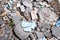 Debris, broken concrete panels, tiles on a sunny day, view from above