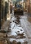 Debris and mud after floodings in San Llorenc in the island Mallorca vertical