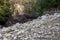 Debris slides on slopes of Shasta caverns