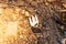 The debris of white plastic forks on the ground  from tourists taking them to natural sites.