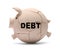 Debt Pig