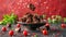 Decadent Chocolate Chunks Falling into a Black Bowl with Red Accent Background Sweet Indulgence Conceptual Photograph