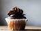 Decadent Chocolate Temptation: Chocolate-covered Cupcake with Delicious Topping