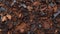 Decadent Decay: A Close-up Shot Of Unreal Engine 5 Gravel