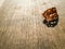 Decay brown leaf on wood top