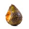 Decay of Nutritional Essence Rotten Avocado Signifying Unhealthy Eating and Food Waste, Generative Ai