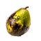 Decay of Nutritional Essence Rotten Avocado Signifying Unhealthy Eating and Food Waste, Generative Ai