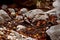 Decayed fallen leaves and grey stones on ground in forest.