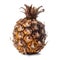 Decayed Rotten Pineapple Symbol of Food Waste Unhealthy Eating Habits, Generative Ai