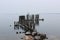 Decayed wooden dock in St Lawrence River