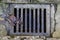 Decaying foliage on a grate of street road drainage