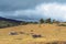 Decaying Ruins Of Old Homestead And Shed On A Deserted Australian Dairy Farm In Economic Ruin