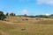 Decaying Ruins Of Old Homestead And Shed On A Deserted Australian Dairy Farm In Economic Ruin