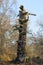 Decaying trunk of an ancient Sherwood Forest oak tree on a winter morning