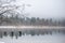 Decaying wooden piers in misty quiet lake