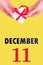 December 11th. Festive Vertical Calendar With Hands Holding White Gift Box With Red Ribbon And Calendar Date