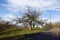 december blue sky with trees and clouds before approaching storm