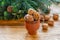 December is Christmas time.Walnuts ceramic glass, tree branches and decorations for the Christmas tree-snowflakes.Winter holiday.