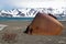 Deception Island Ruins - Antarctica