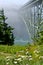 Deception Pass Bridge in fog and wildflowers.