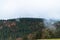 Deciduous and coniferous forest on the hill disappears in the autumn fog, wind mills