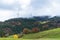 Deciduous and coniferous forest on the hill disappears in the autumn fog, wind mills