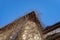 Deciduous creeper with bare vines on a house