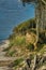 Deciduous forest on the Baltic coast