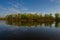 Deciduous forest on the bank and water of the river, rural landscape