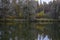 Deciduous forest birch grove on the banks of the river. Colorful tree leaves are reflected in the water