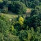 Deciduous Forest, in the Rural Hilly Terrain.