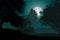 A deciduous forest with trees under a night sky with full moon -