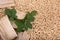 Deciduous oak biomass - wood, pellets and leaves