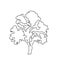 Deciduous tree one line art. Continuous line drawing of plants, herb, tree, wood, nature, flora, deciduous tree, crown