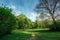 Deciduous trees growing in a forest glade in spring against a sky and clouds