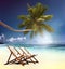 Deck Chair Trapical Beach Summer Paradise Concept