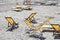 Deckchairs on Sand and Shingle Beach, Savona, Liguria, Italy