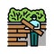 decking installation repair color icon vector illustration