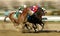 Declan\'s Warrior Wins The Bay Shore Stakes