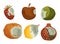 Decomposed And Decaying Fruits, Strawberry, Apple, Kiwi and Orange, Lemon and Garnet That Have Lost Freshness