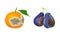 Decomposed Stinky Rotten Fruit with Plum and Orange Having Bad Spots Vector Set