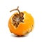 Decomposing Rotten Orange Unhealthy Eating Concept in Spoiled Citrus, Mold Growth, Generative Ai